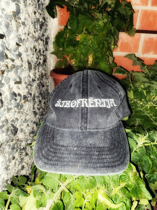 ŠIZOFRĒNIJA
